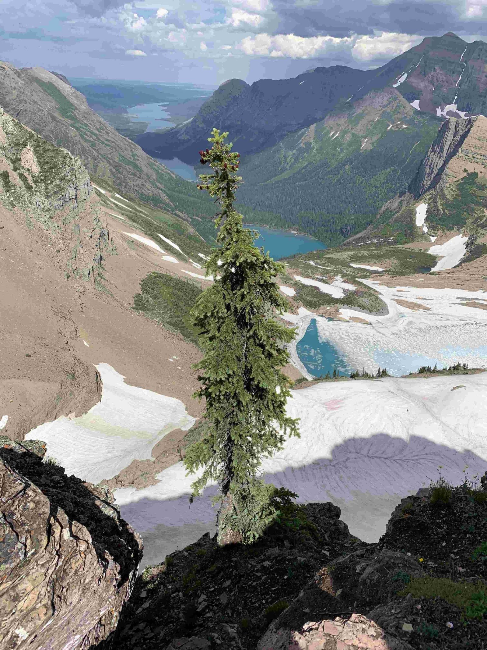 glacier national park high route