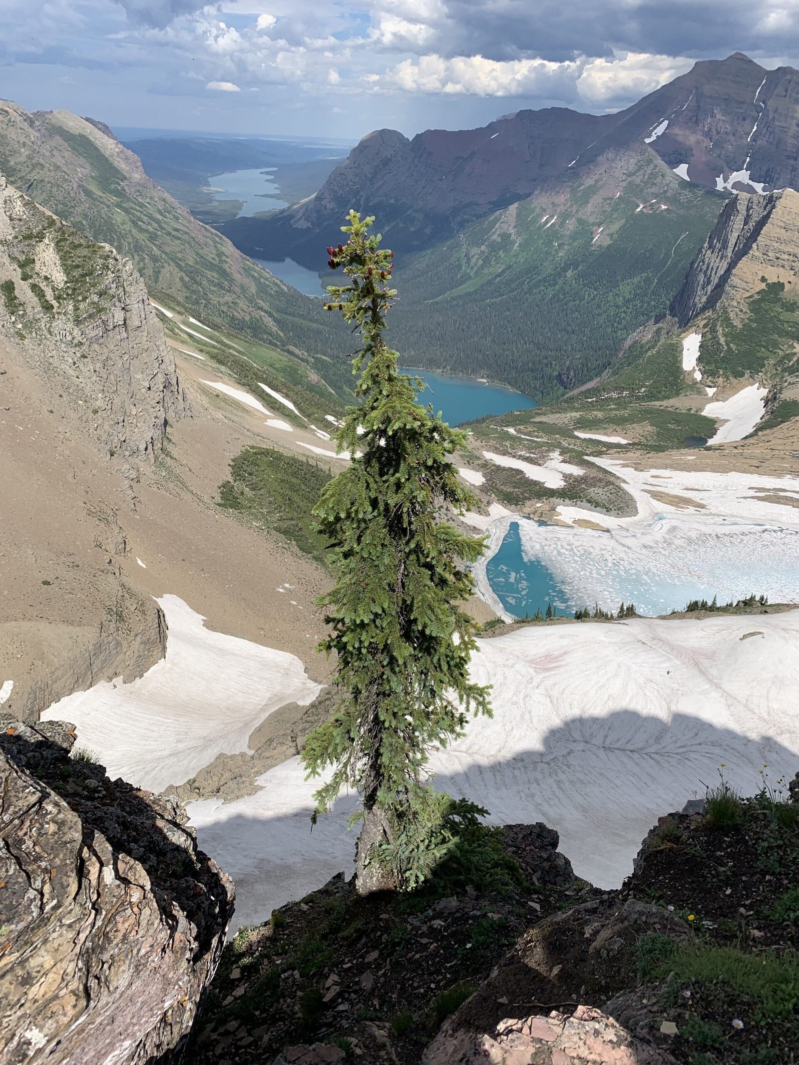 when was the glacier national park founded