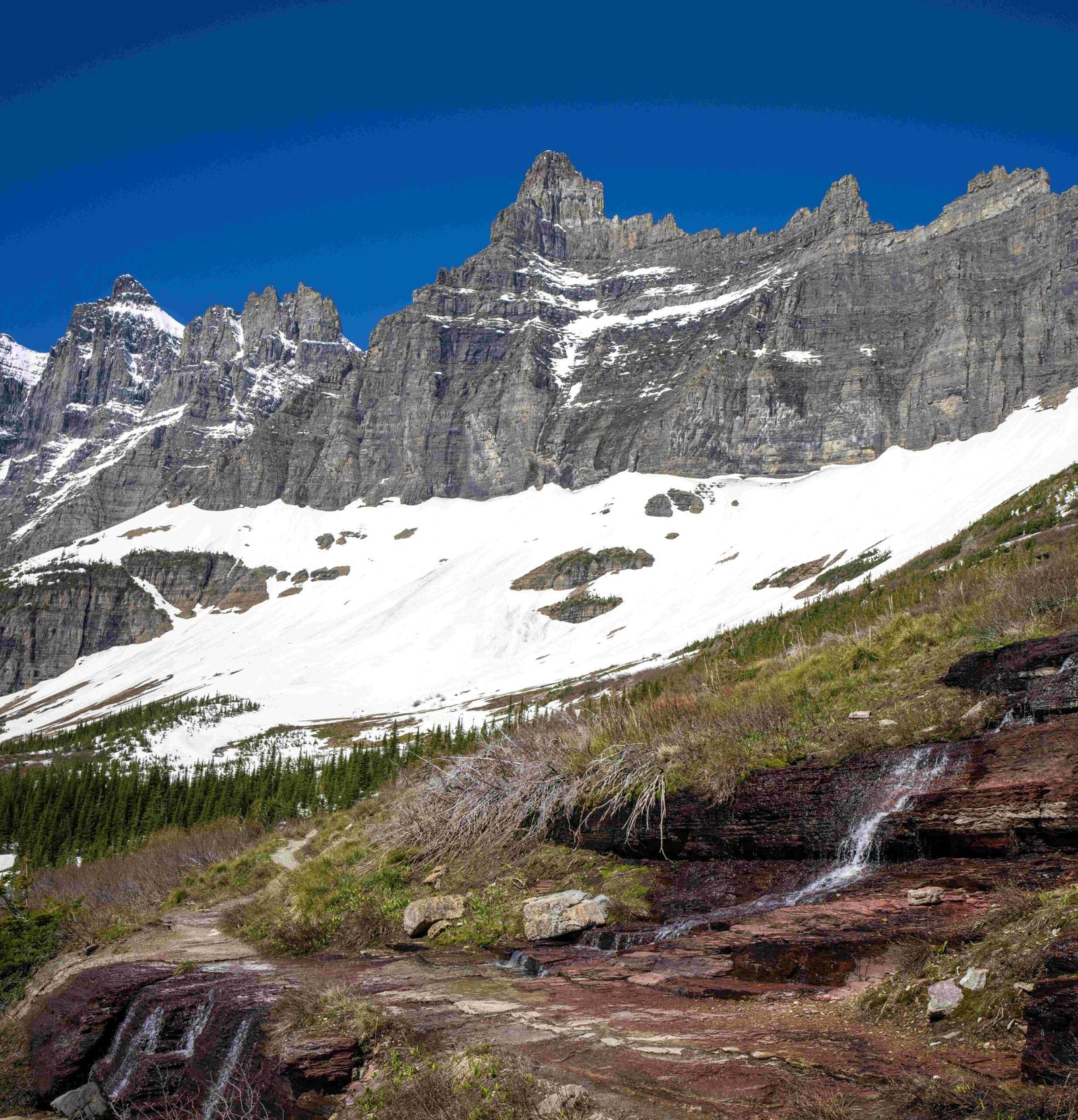 honeysuckle trail to watch tower in glacier national park