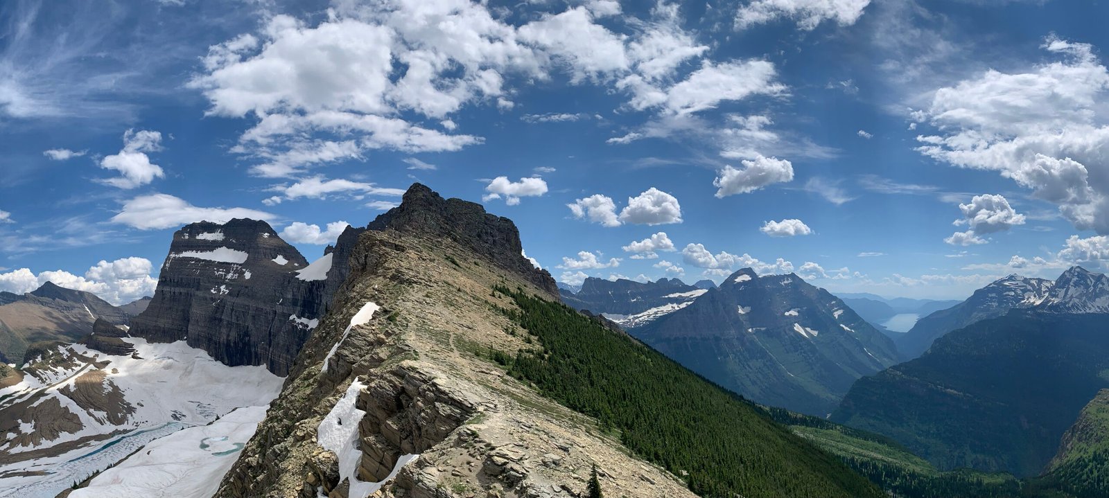 glacier national park mountain goats safe