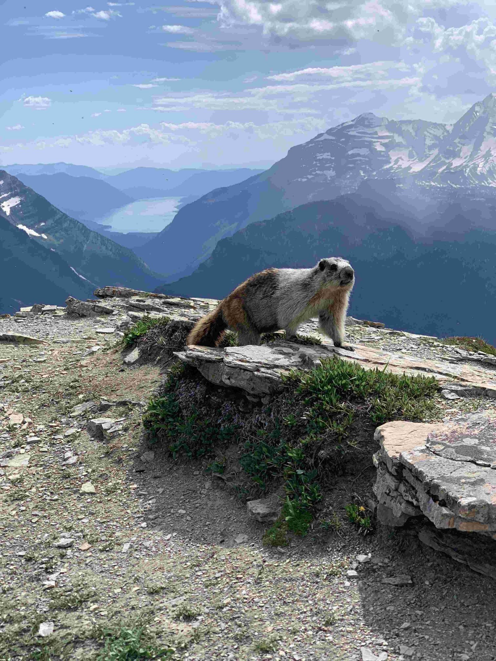 boy lake glacier national park hike