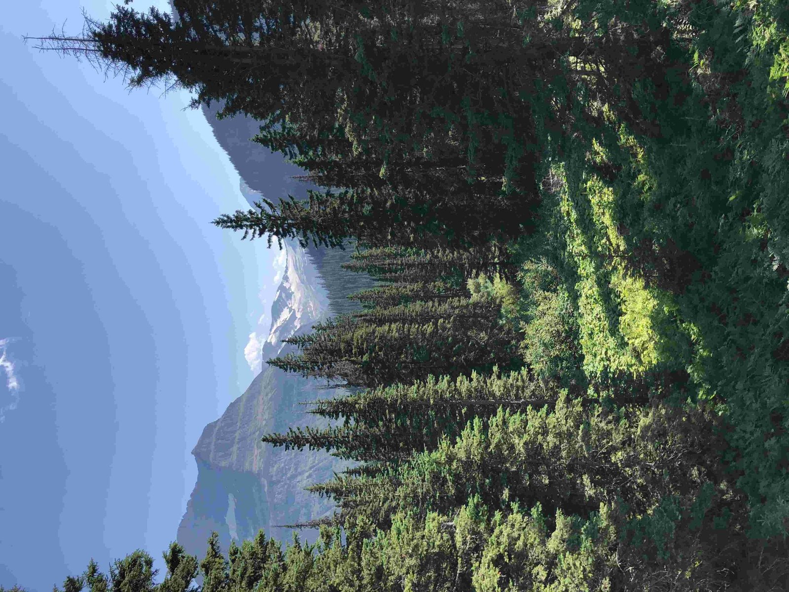 glacier national park with a baby glacier national park with a baby