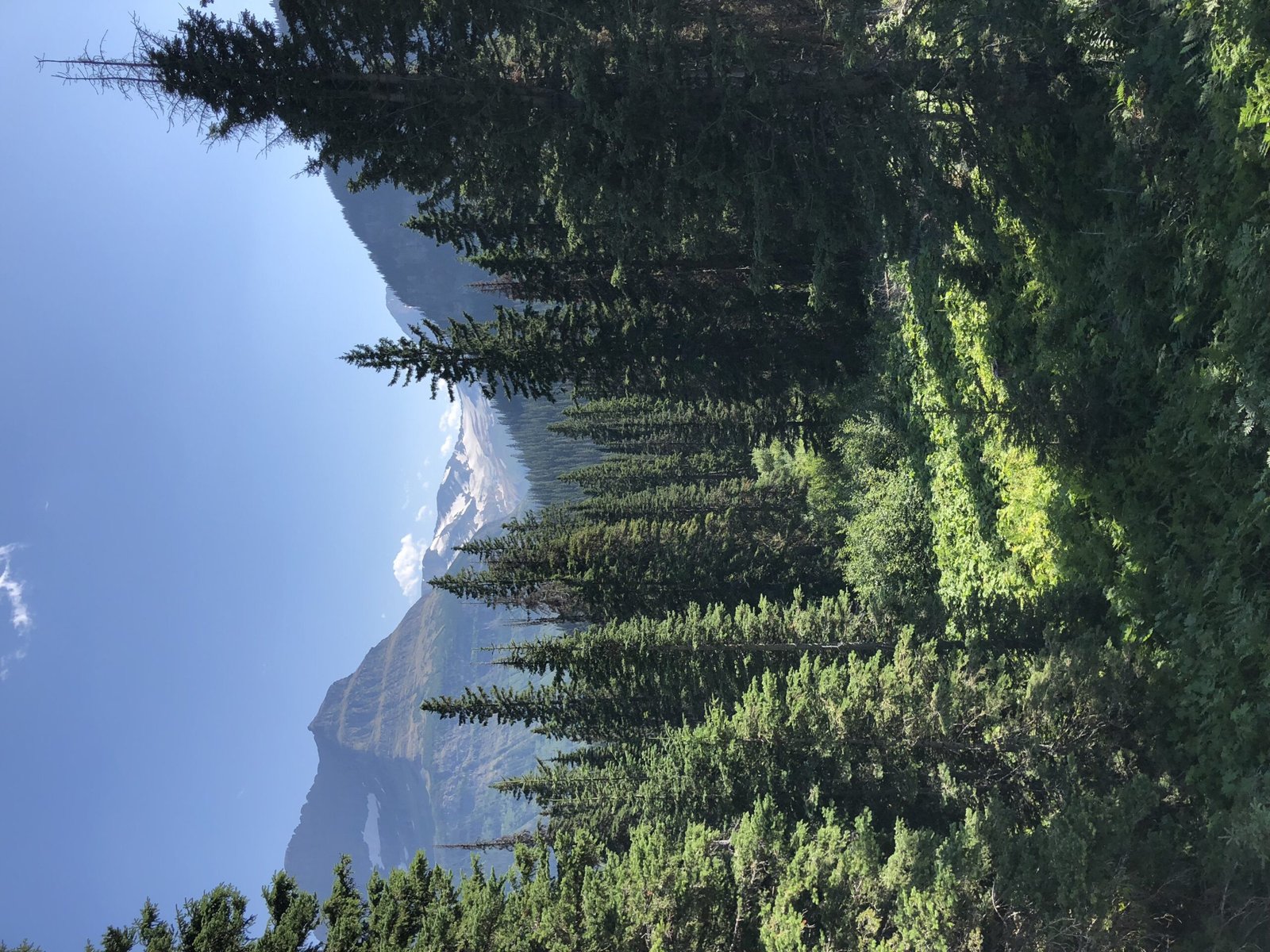 easy to moderate hikes in glacier national park